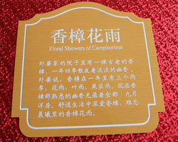 ˫ɫ������Ʒ9